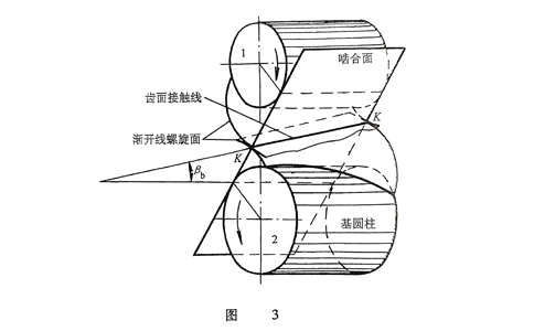 斜齿圆柱齿轮啮合旋向图片