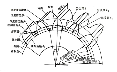 齿轮的基本参数有哪些？